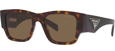 Pre-owned Prada Pr 10zs 2au06b Tortoise Plastic Pillow Sunglasses Brown Lens