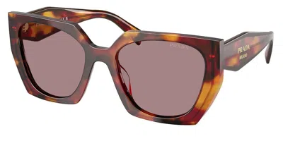 Prada Pr 15wsf Asian Fit 22a20i Women's Sunglasses Tortoiseshell Size 55 In Brown