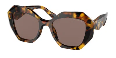 Prada Pr 16wsf Asian Fit Polarized Vau05c Women's Sunglasses Tortoiseshell Size 53 In Brown