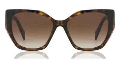 Prada Pr 19zs 2au6s1 Women's Sunglasses Tortoiseshell Size 55 In Brown
