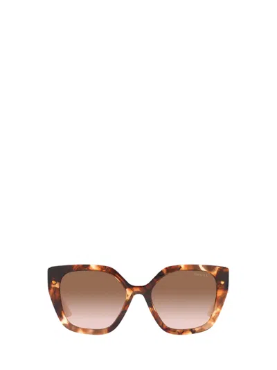 Prada Womens Brown Pr 24xs Rectangle-frame Acetate Sunglasses In Multi