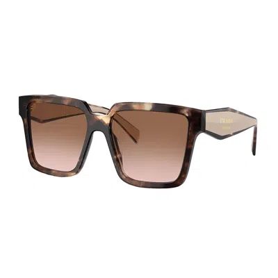Prada Pr 24zs 07r0a6 56mm Womens Square Sunglasses In Brown