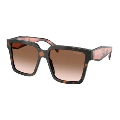 Prada Pr 24zs 23a0a6 56mm Womens Square Sunglasses In Brown