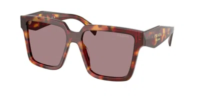 Prada Pr 24zsf Asian Fit 22a20i Women's Sunglasses Tortoiseshell Size 57 In Neutral