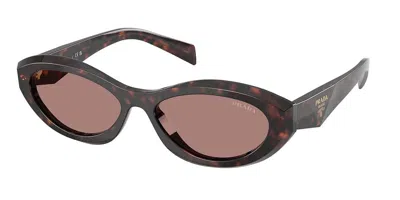 Prada Pr 26zsf Asian Fit 17n60b Women's Sunglasses Tortoiseshell Size 56 In Brown