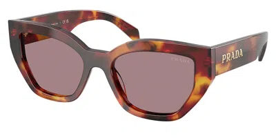 Prada Pr A09sf Asian Fit 22a20i Women's Sunglasses Tortoiseshell Size 55