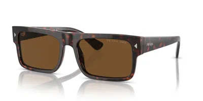Pre-owned Prada Pr A10s Havana/brown Polarized (17n-01d) Sunglasses