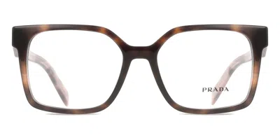 Prada Pr B03v Women's Glasses, Tortoiseshell, Size 52 In Gray