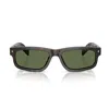 Prada Pr B11s 17n20g Root Tartarugato Sunglasses In Multicolor
