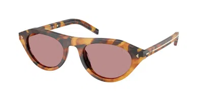 Prada Pr B15sf Vestibilità Orientale Polarized 29c05z Occhiali Da Sole Tartarugatishell Per Donna