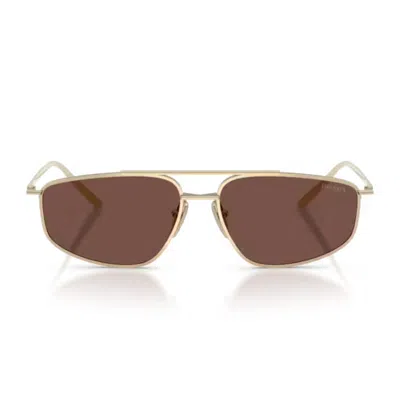 Prada Pr C51s Zvn80t Oro Pallido Sunglasses In Brown