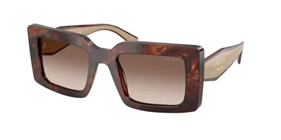 Prada Pr D01sf Asian Fit 00k10s Women's Sunglasses Tortoiseshell Size 53 In Brown