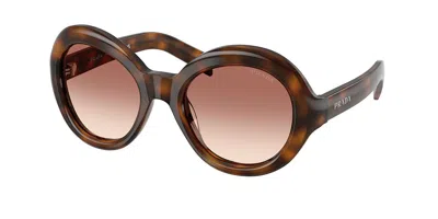 Prada Pr D08su 20d70x Women's Sunglasses Tortoiseshell Size 53
