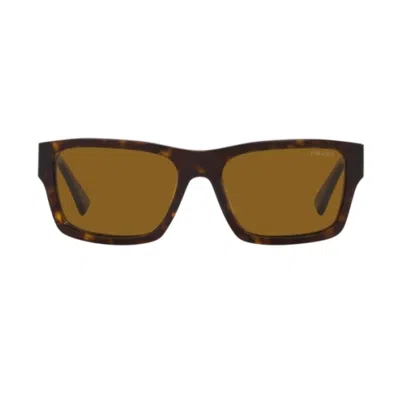 Prada Pr25zs 2au0b0 Tartarugato Sunglasses In Marrone