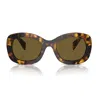 Prada Womens Pr A13s Butterfly-frame Acetate Sunglasses Yellow In Brown