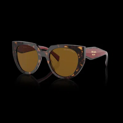 Prada Pr 14ws 2au5y1 In Havana