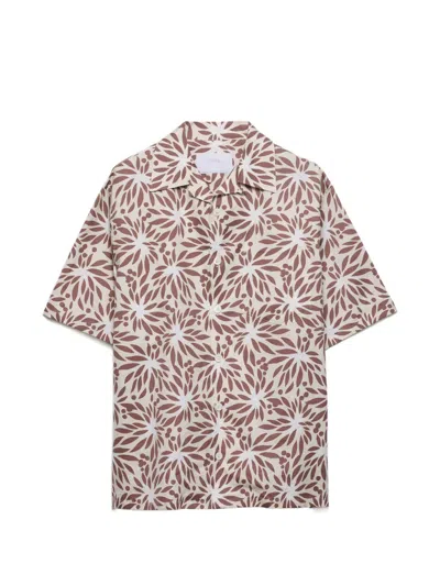 Prada Printed Cotton Bowling Shirt In Brown