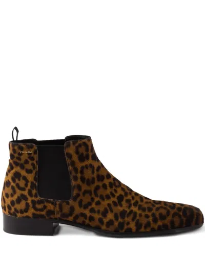 Prada Printed Elasticated Booties In Brown
