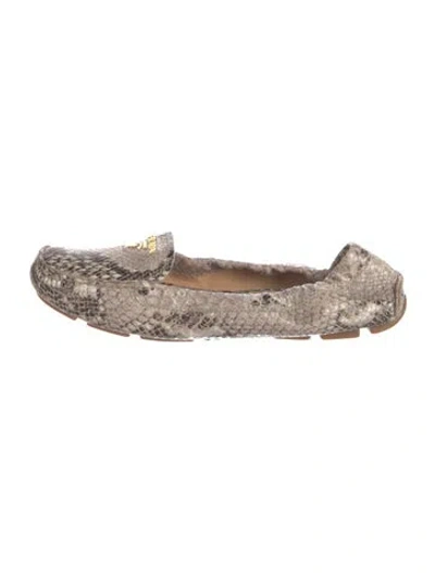 Pre-owned Prada Python Animal Print Loafers In Neutral