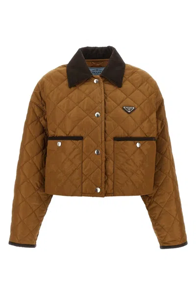 Prada Quilted Crop Jacket In Brown