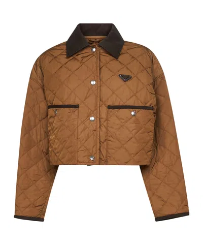 Prada Quilted Jacket In Brown