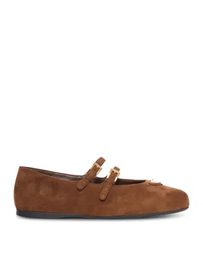 Prada Round Toe Ballet Shoes In Brown