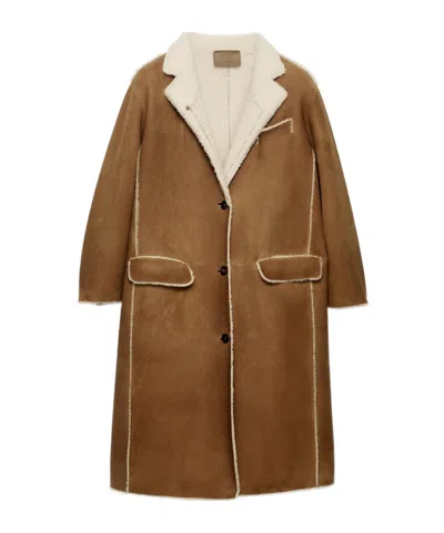 Prada Shearling Coat In Multi