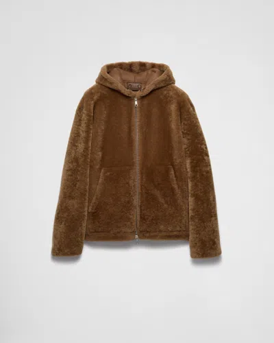 Prada Shearling Jacket In Hazelnut