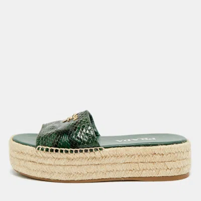 Pre-owned Prada Size 36 Green Python Embossed Leather Platform Espadrille Sandals