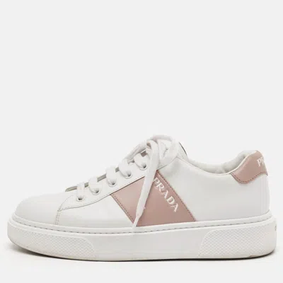 Pre-owned Prada Size 38 White/pink Leather Low Top Sneakers