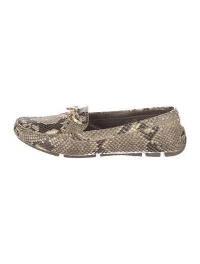 Pre-owned Prada Snakeskin Animal Print Loafers In Neutral