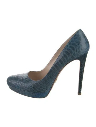 Pre-owned Prada Snakeskin Animal Print Pumps In Blue