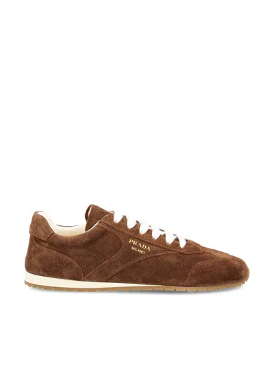 Prada Sneakers In Brown