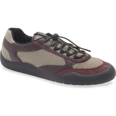 Prada Lace Up Sneakers Round Toe Mesh Design In Brown