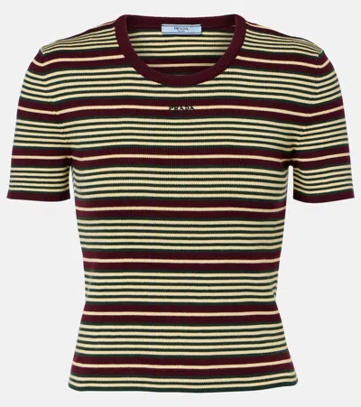 Prada Womens Burgundy Striped Short-sleeve Cotton T-shirt In Multi