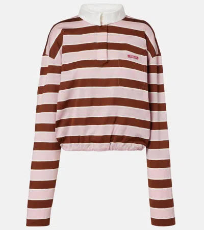 Prada Striped Cropped Cotton Jersey Polo Shirt In Brown