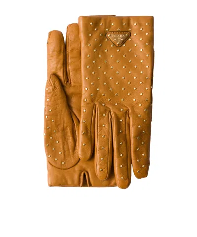Prada Studded Nappa Leather Gloves In Caramel