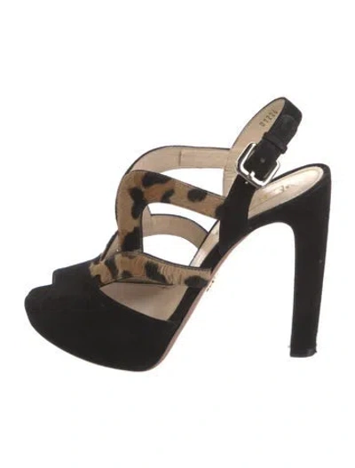 Pre-owned Prada Suede Animal Print Pumps In Black
