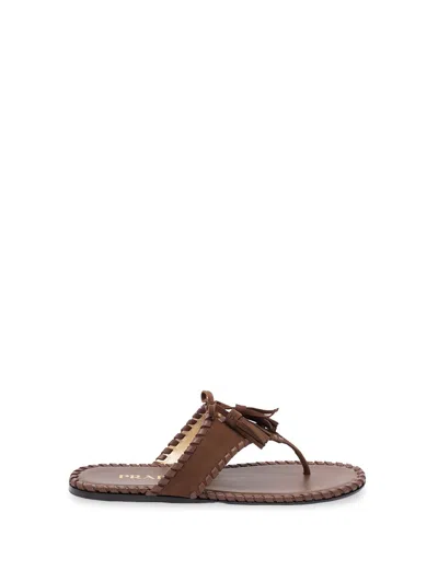 Prada Suede Flat Sandals In Brown
