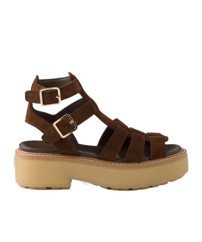 Prada Suede Gladiator Sandals In Cocoa Brown