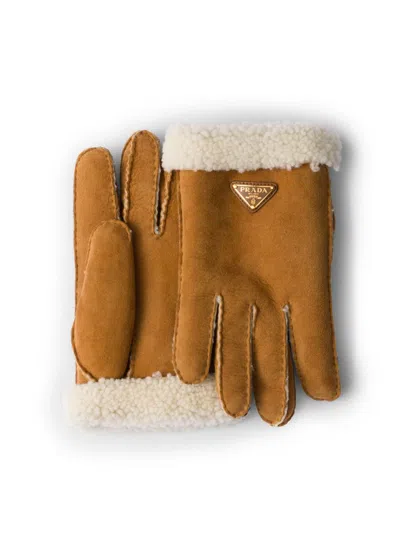 Prada Suede Gloves In Brown