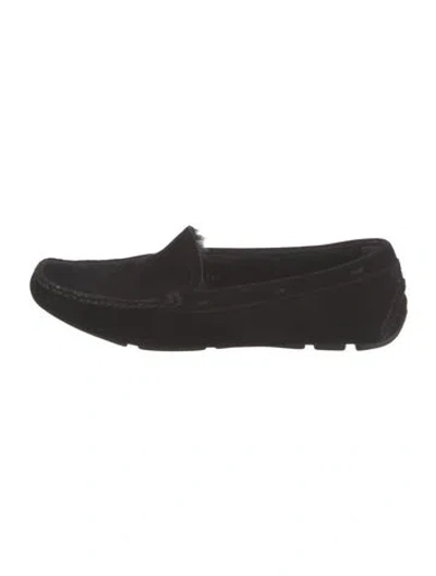 Pre-owned Prada Suede Loafers In Black
