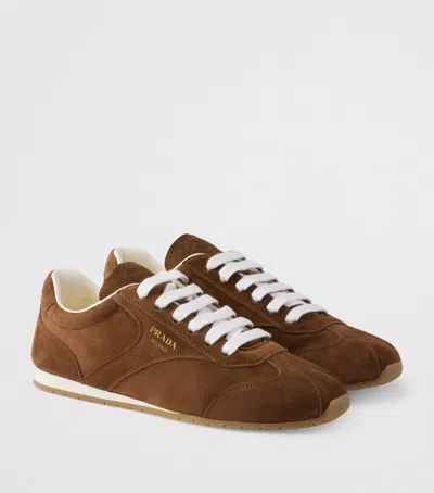 Prada Cocoa-coloured Sneakers In Suede Leather In Brown