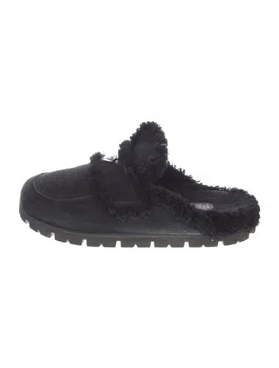 Pre-owned Prada Suede Mules In Black