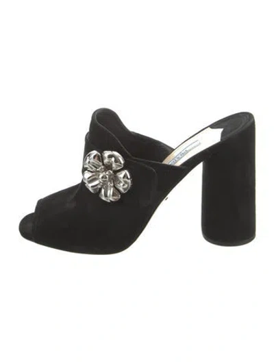 Pre-owned Prada Suede Mules In Black