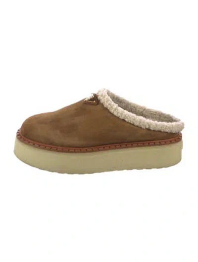Pre-owned Prada Suede Mules In Brown