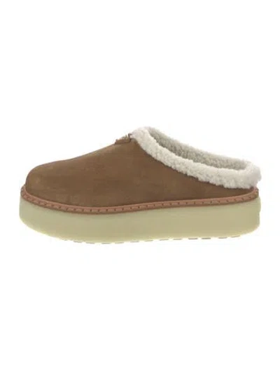 Pre-owned Prada Suede Mules In Brown