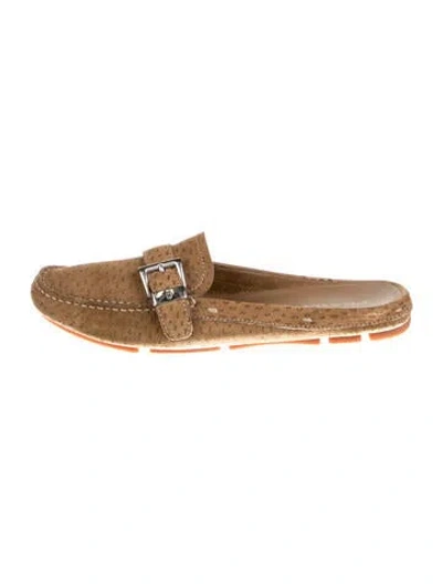 Pre-owned Prada Suede Printed Mules In Brown