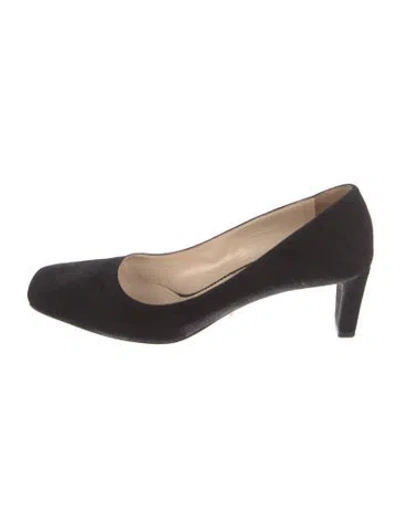 Pre-owned Prada Suede Pumps In Black