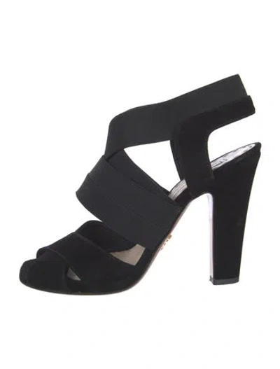 Pre-owned Prada Suede Pumps In Black